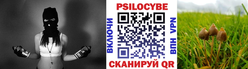 Псилоцибиновые грибы MAGIC MUSHROOMS закладки Зеленодольск